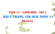 Bài 5 trang 120 SGK Toán 11 tập 1 Cánh Diều